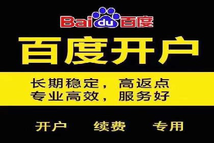 案例解析：网络推广竞价技巧